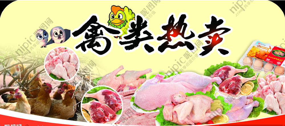 禽类